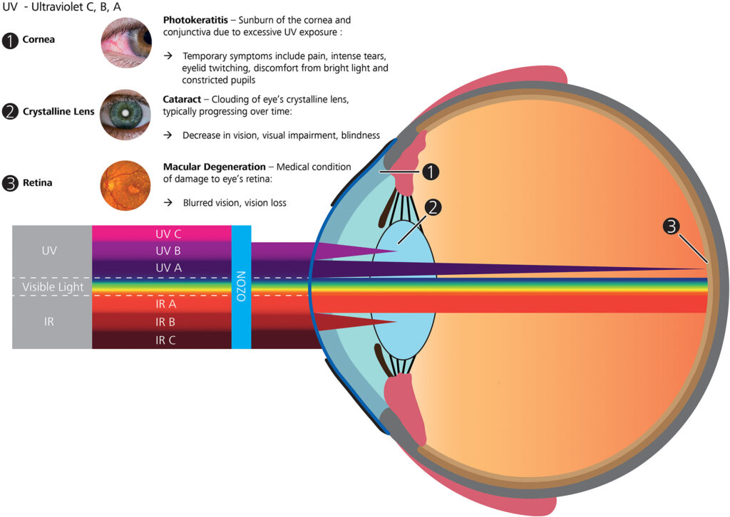 UV Safety UV light entering eyes